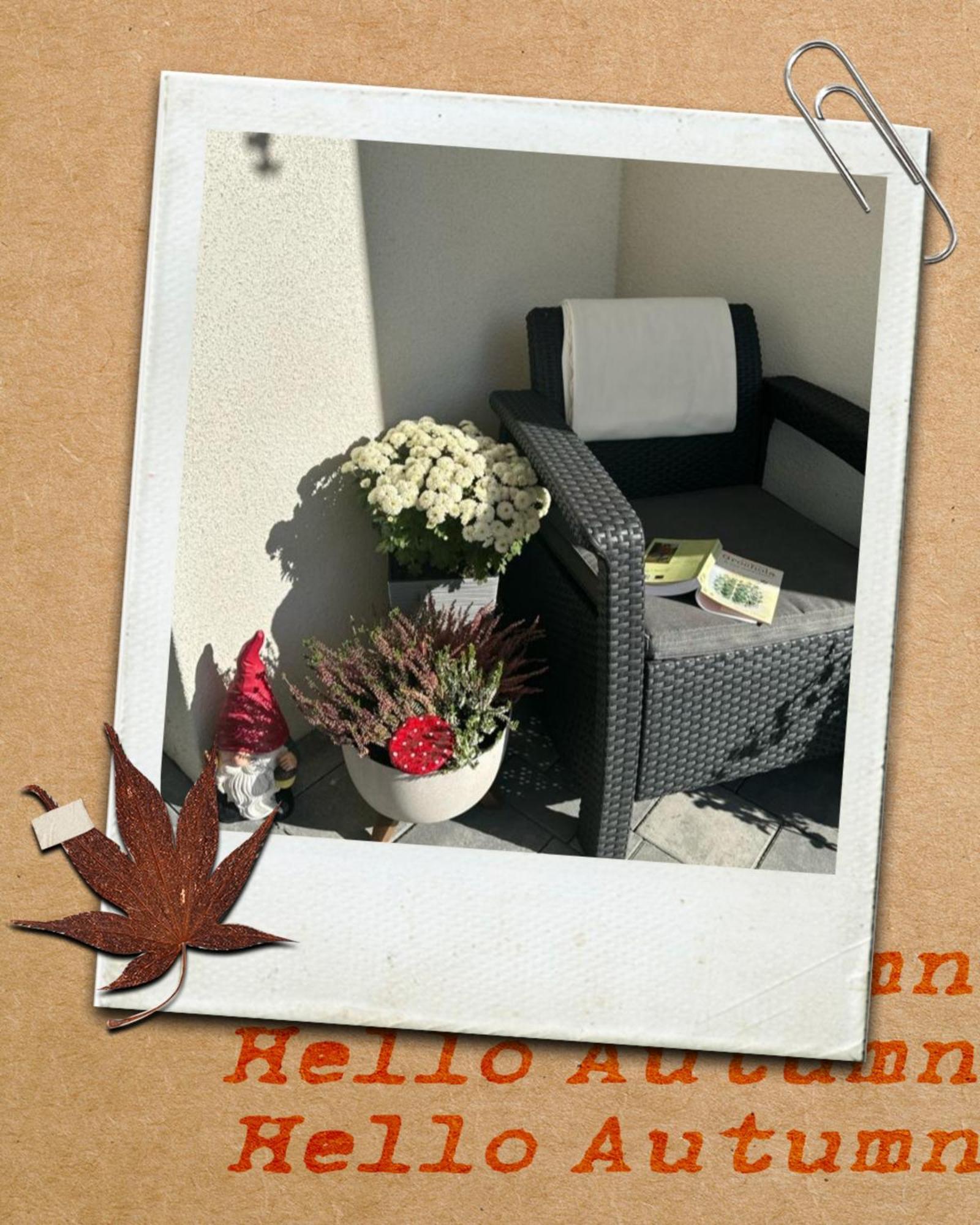 Solek Apartamenty I Pokoje Goscinne 梅尔诺 外观 照片