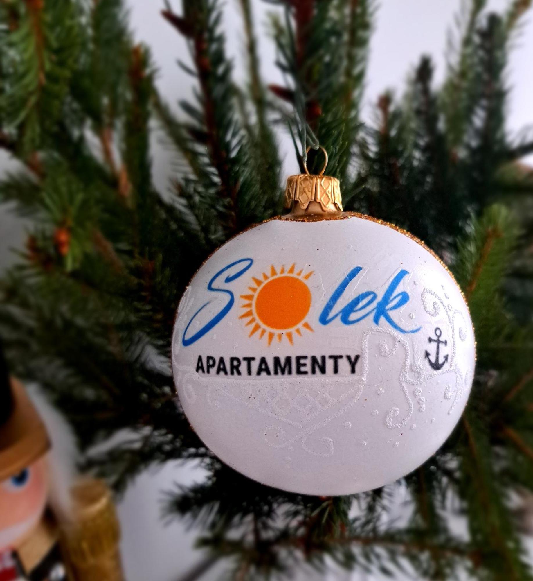 Solek Apartamenty I Pokoje Goscinne 梅尔诺 外观 照片