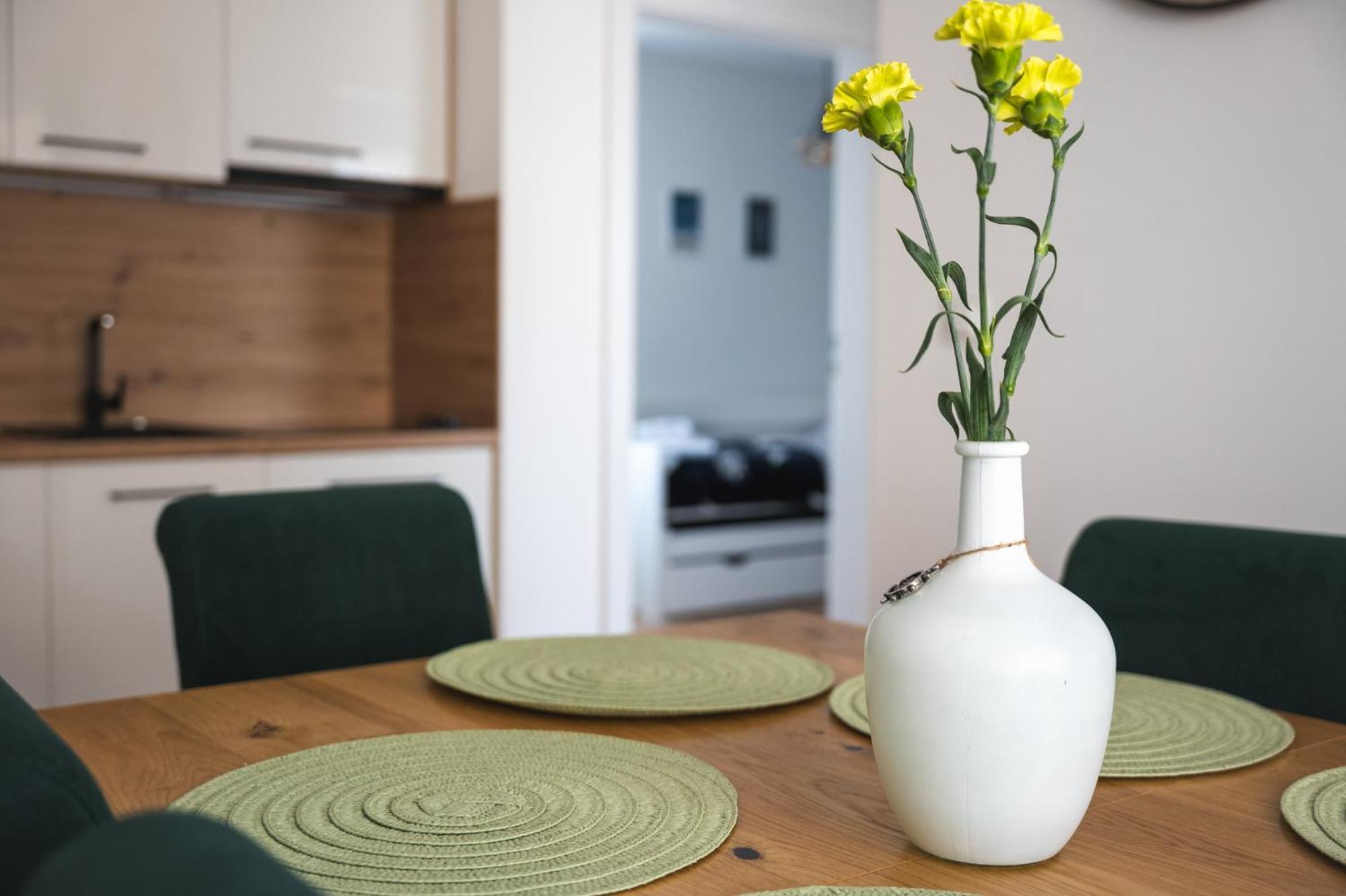 Solek Apartamenty I Pokoje Goscinne 梅尔诺 外观 照片