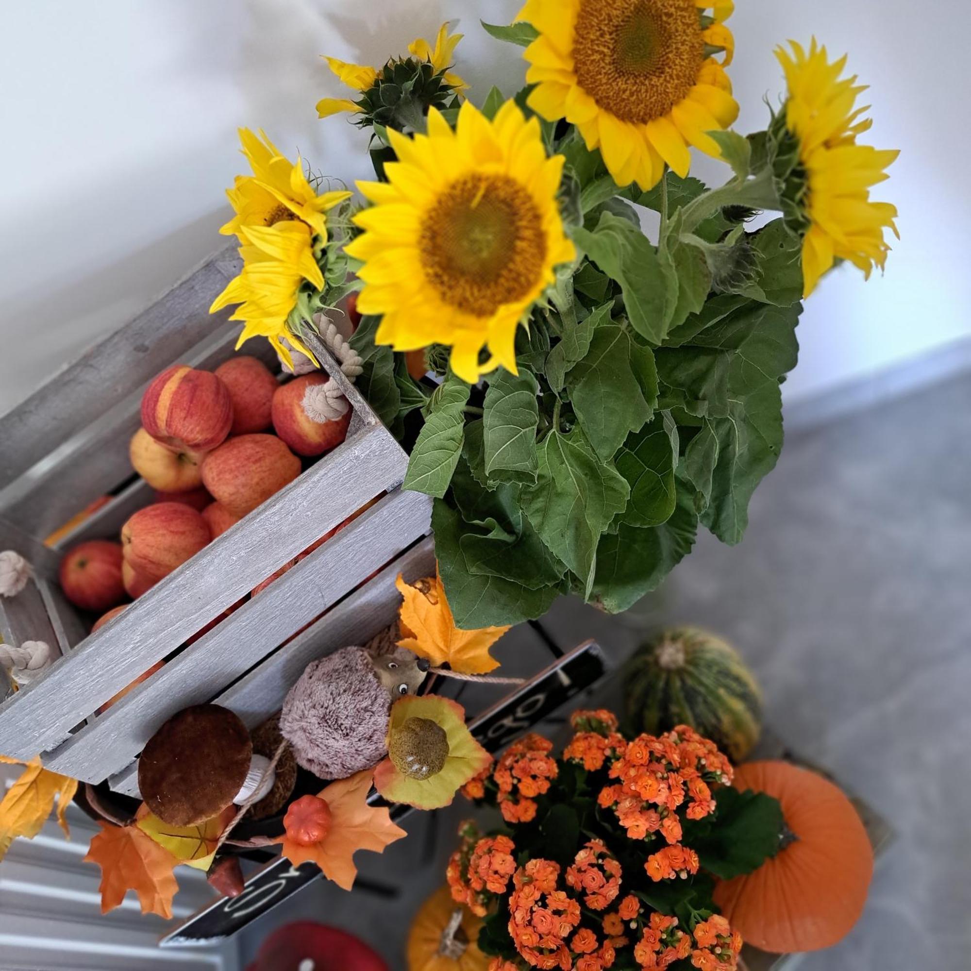 Solek Apartamenty I Pokoje Goscinne 梅尔诺 外观 照片
